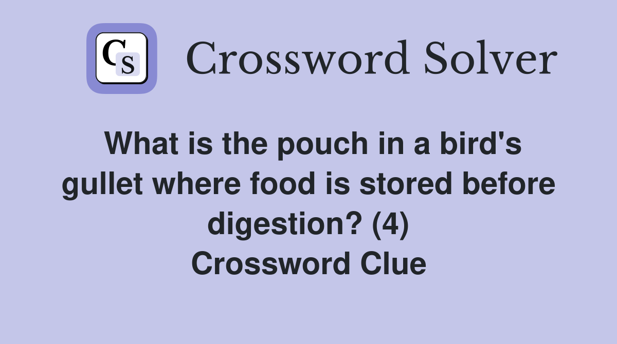 What is the pouch in a bird's gullet where food is stored before